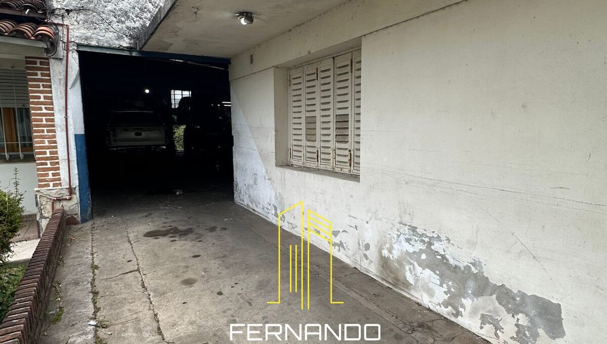 WhatsApp Image 2026-03-04 at 13.41.31