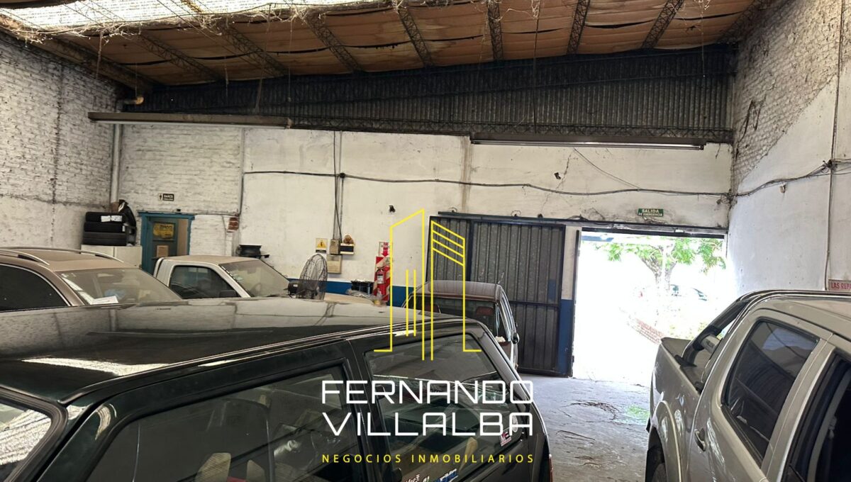 WhatsApp Image 2026-03-04 at 13.41.31 (2)