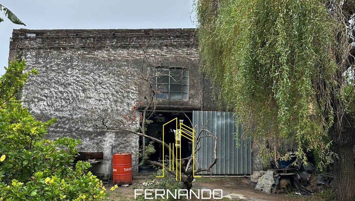 WhatsApp Image 2026-03-04 at 13.41.32