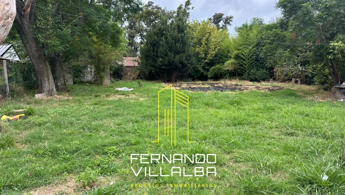 WhatsApp Image 2026-03-04 at 13.41.35 (1)