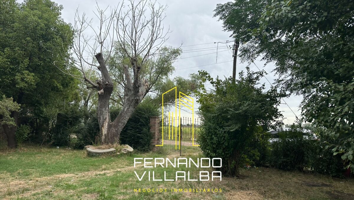 WhatsApp Image 2026-03-04 at 13.41.35 (2)