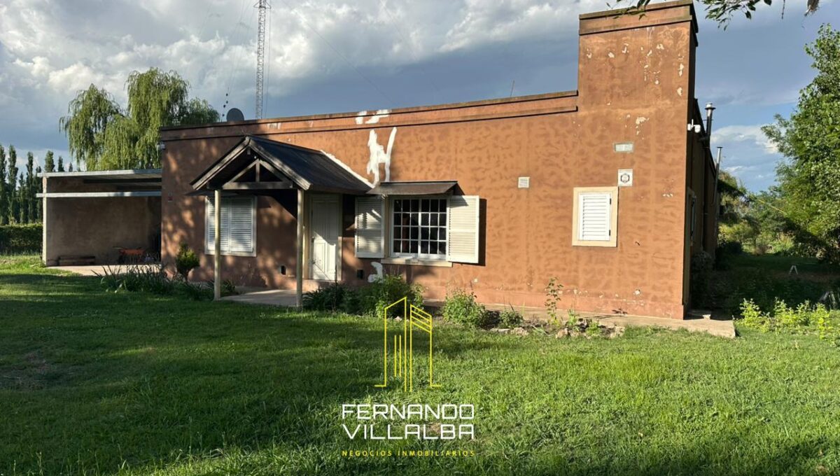 WhatsApp Image 2026-01-04 at 18.47.56